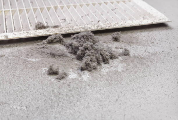 Best Ventilation Cleaning Services  in Lakeport, CA