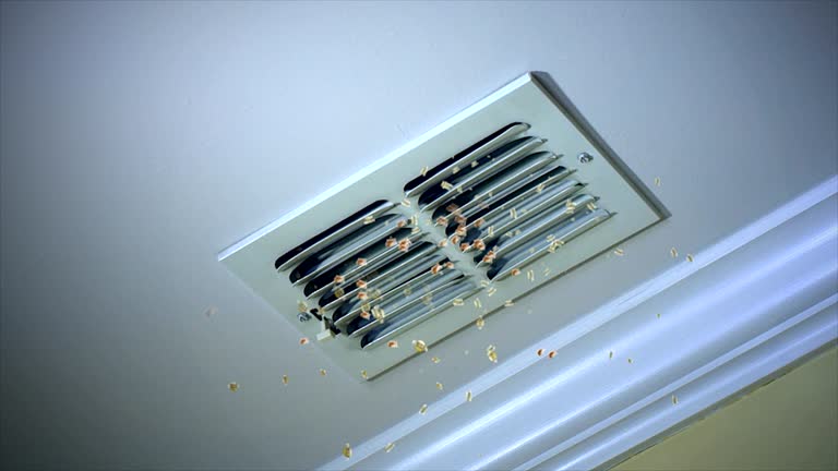 Best Air Duct Cleaning Near Me  in Lakeport, CA